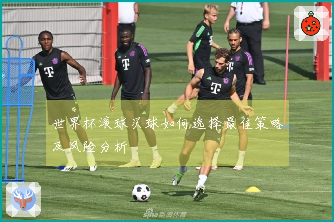 世界杯滚球买球如何选择最佳策略及风险分析