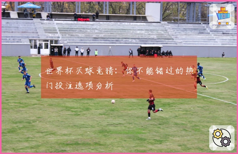世界杯买球竞猜：你不能错过的热门投注选项分析