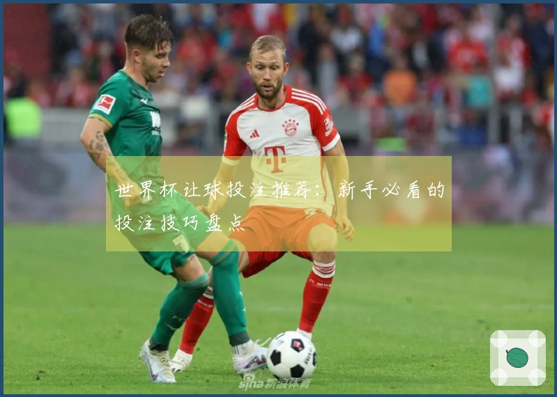 世界杯让球投注推荐：新手必看的投注技巧盘点