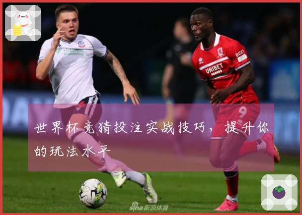 世界杯竞猜投注实战技巧，提升你的玩法水平