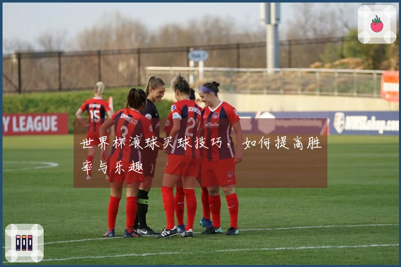 世界杯滚球买球技巧，如何提高胜率与乐趣