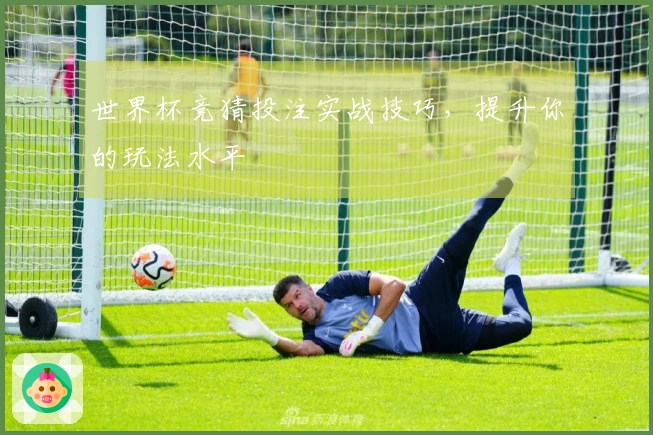 世界杯竞猜投注实战技巧，提升你的玩法水平