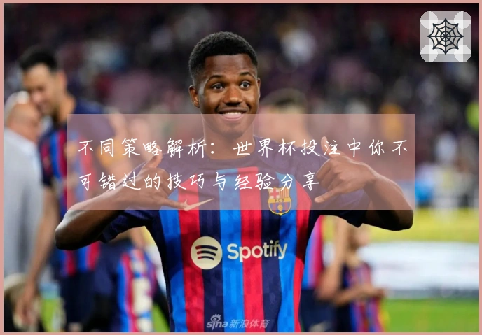 不同策略解析：世界杯投注中你不可错过的技巧与经验分享