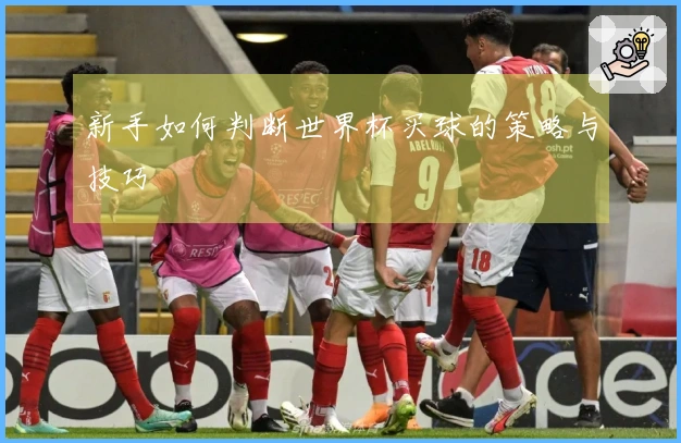 新手如何判断世界杯买球的策略与技巧