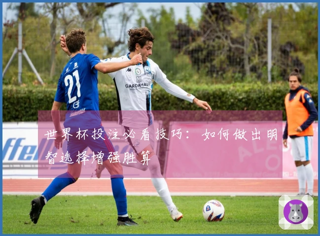 世界杯投注必看技巧：如何做出明智选择增强胜算
