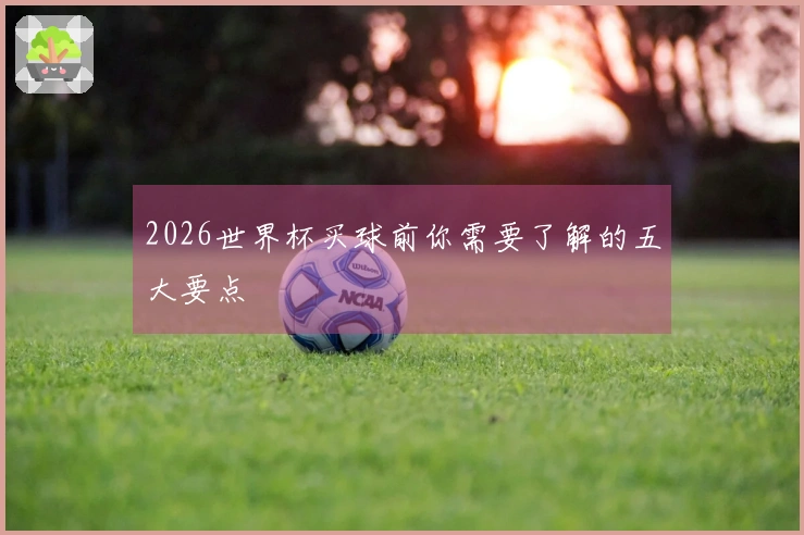 2026世界杯买球前你需要了解的五大要点