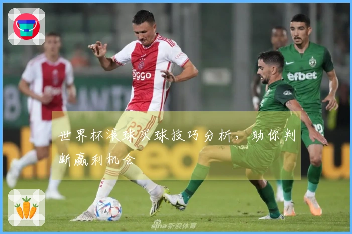 世界杯滚球买球技巧分析，助你判断赢利机会